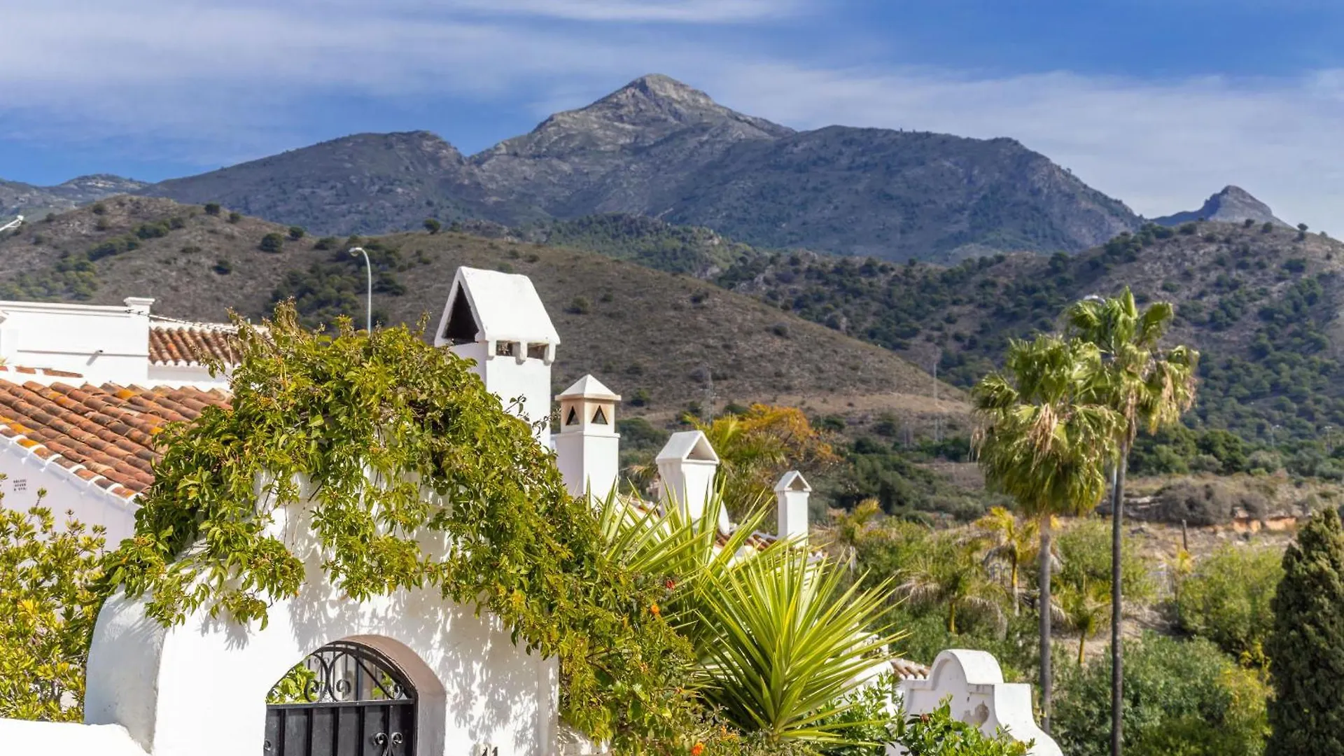 Las Palmas 2A Oasis Properties Nerja